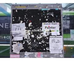 Looking for rent house in Jasper, Canada - Image 1