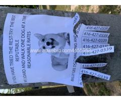 Reach More Customers: Online & Print Ad with custom tracking link | AdwebID.com - Image 2