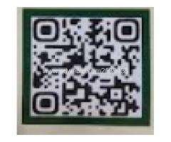 JunGto.org - Image 2