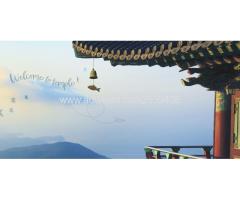 JunGto.org - Image 4