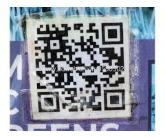 Premium Organic Micro-greens - Image 1