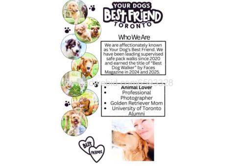 Your dog's best friend