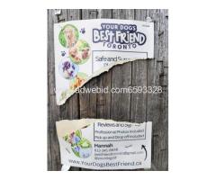 Your dog's best friend - Image 2