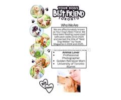 Your Dog's Best Friend - Image 2