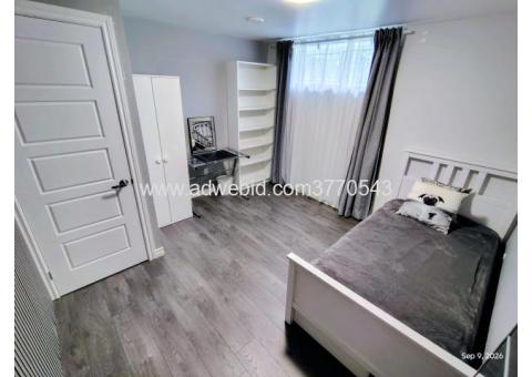 Student-Friendly Living in North York